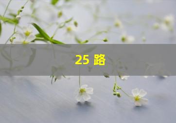 25 路